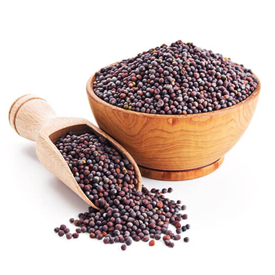 Mustard oil Seed