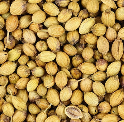 Coriander Seeds