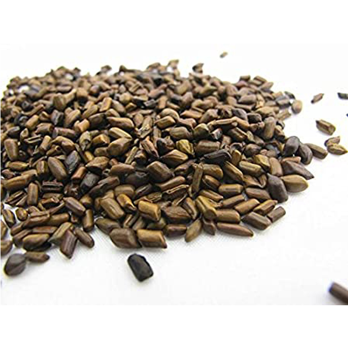 Cassia Tora Seeds